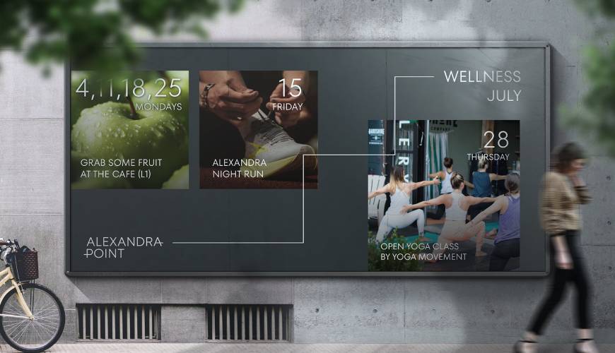 资源县画册设计公司如何进行品牌审核